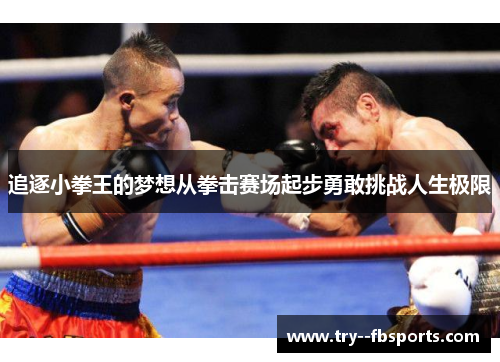追逐小拳王的梦想从拳击赛场起步勇敢挑战人生极限 追逐小拳王的梦想从拳击赛场起步勇敢挑战人生极限